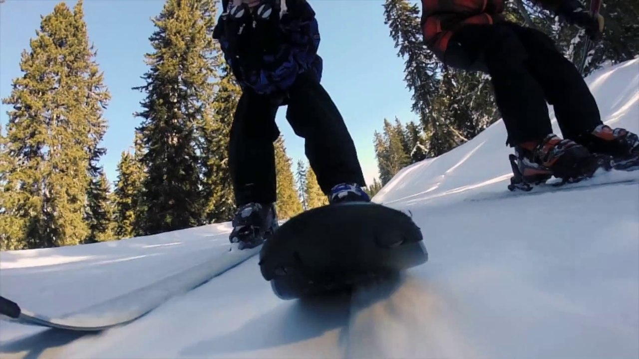 Neige les saisies 2014