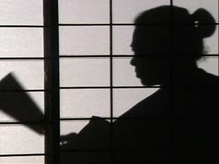 Ninja - the warior of the nigth