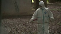 Chasse au moustique après 22 cas de dengue à Tokyo