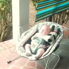 Bebeğin yanında uyumak isteyen köpek