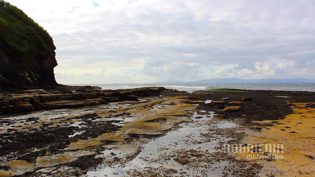 Celtic Dreams HD - Acanta - Harbor Seagulls