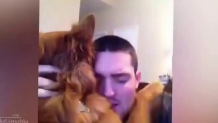 Funny dogs - Funny Animals - New Funny Videos 2014 - Cute and funny dogs fail compilation(Risingformuli)