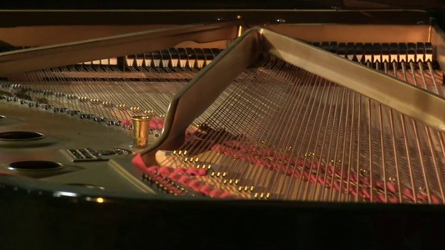 Clair de lune, de Debussy, par David Bismuth | Le Live de la Matinale