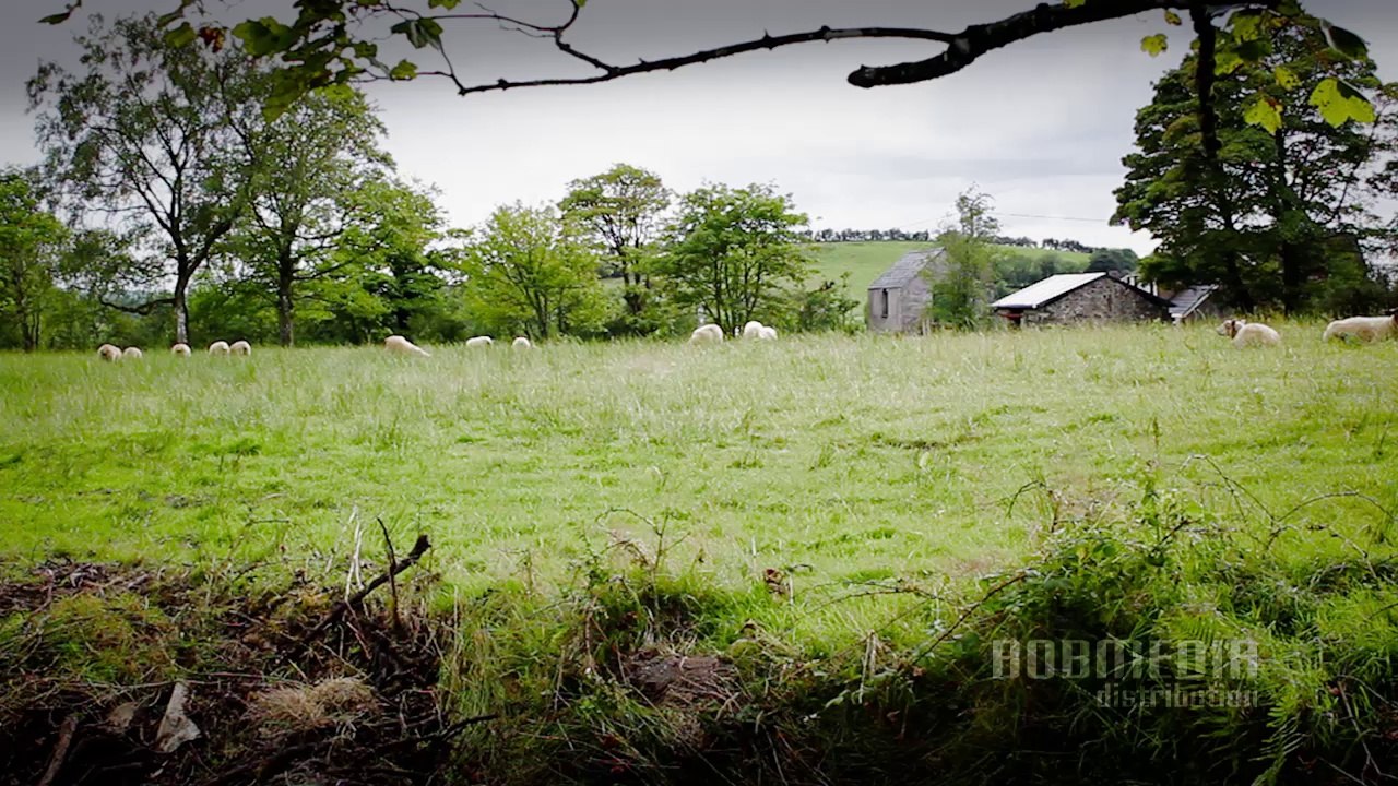 Celtic Dreams HD - Acanta - In The Morning