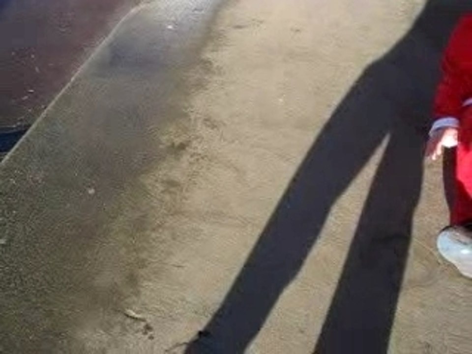 Half-cab heelflip to primo