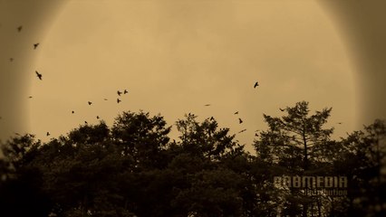 Celtic Dreams HD - Acanta - The Country Of Ireland