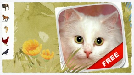 Animal sounds - FREE Android App