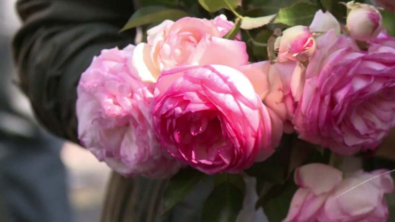 Rosny: une explosion probablement liée au gaz