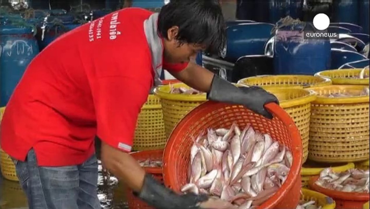 Hazırladığı rapor başını yaktı