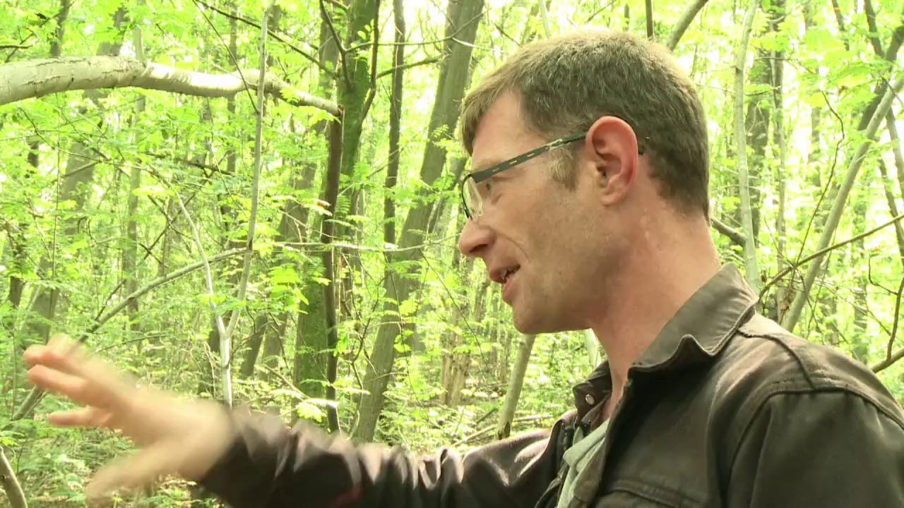 Ehemalige Obdachlose zeigen ihr Paris