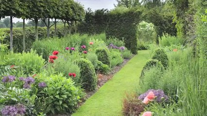 Pleaching Trees Mirandas Garden Vogue