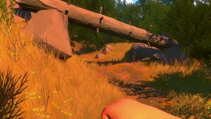 Firewatch : premier trailer PAX