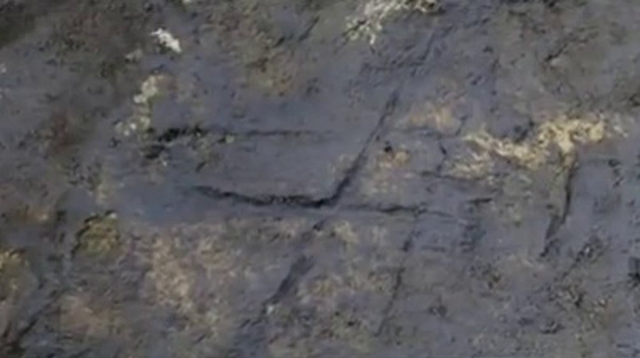Abstract Neanderthal Cave Engraving Discovered