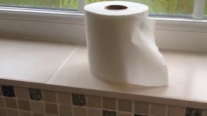 Toilet Roll Changing - Teenage Instructional Video
