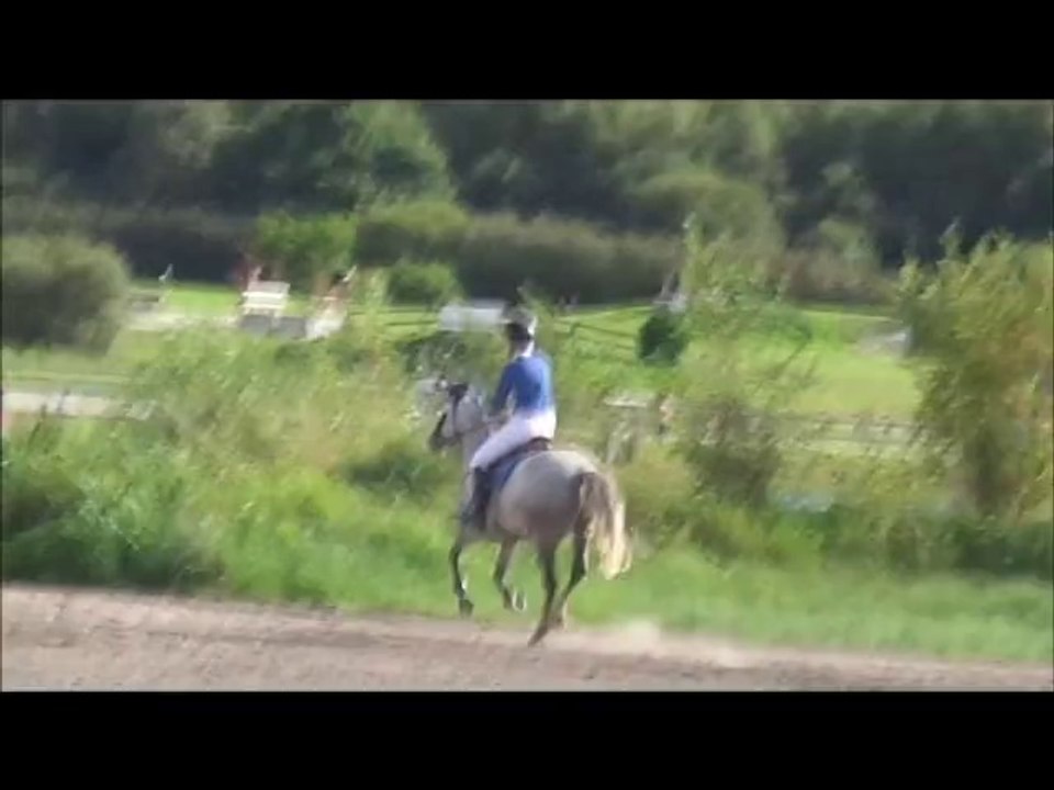 ultimate du bois, AS poney 2D derby, sologn'pony 2014 (24) - Vidéo ...