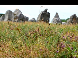 Episode 3: Quiberon, Carnac, Ploermel..