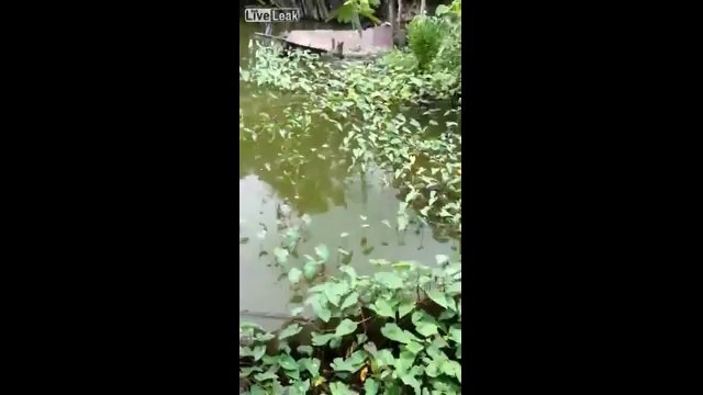 İlginç Balık Avlama Yöntemi