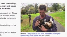 Man's Pet Cat Saves Him From Burning House