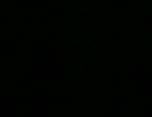 OVNI - UFO - January 2011  3.20 am - Buenos Aires -  Argentina