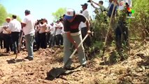 Recovering from Mexico's worst industrial mining spill