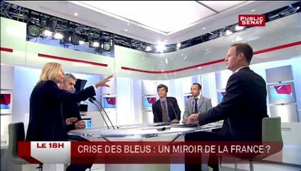 Roselyne Bachelot au chevet des Bleus : « une situation démente » pour de Sarnez