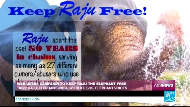 WEB NEWS - Scotland: Celebrities take sides in independence debate