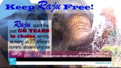 على النت - نجوم يناقشون استقلال اسكتلندا !!