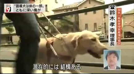 14 08 28 AK NW9　盲導犬　オスカー　事件から１ヶ月