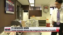 Korea's foreign exchange reserves drop for the first time in 14 months
