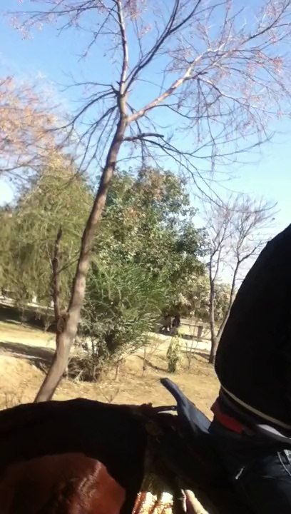 salman honey hours riding