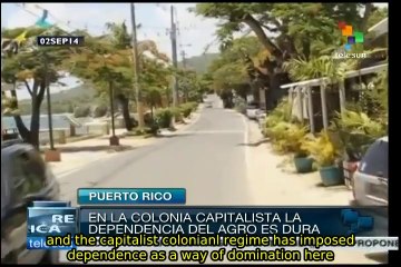 Télécharger la video: Puerto Rico: Vieques island community on its way to food sovereignity