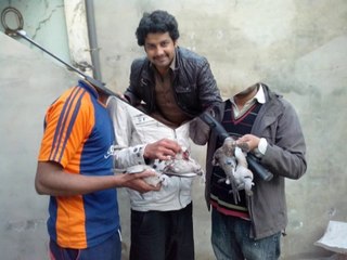 Dove Hunting And Starling Bird Hunting Still Shots