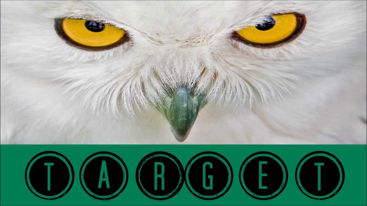 Inspirational Phrases | @CorinaWisdom Quotes - Target