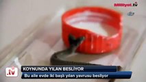 Evde çift başlı yılan besliyor