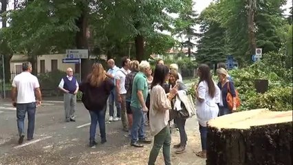 GUERRA DEI TIGLI, NUOVA PERIZIA