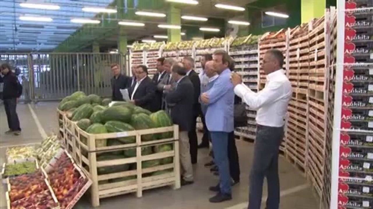 VENETO: CALANO LE IMPRESE ATTIVE
