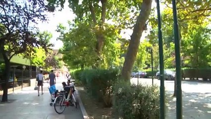 I LIDENSI CONTRO IL TAGLIO DEGLI ALBERI