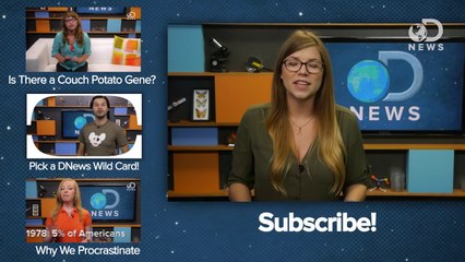 Is Your Brain Making You Lazy