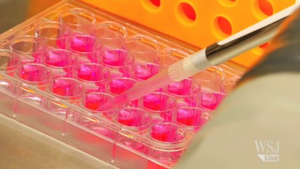 Scientists Grow First Working Organ From Scratch