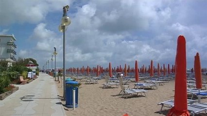 PIOGGIA E ALBERI CADUTI