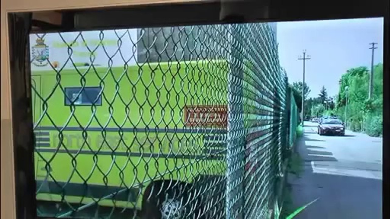 IL VIDEO DEL TESORO