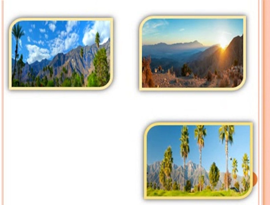 Pest Control Rancho Mirage
