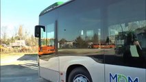 MESSAGGI MENTRE GUIDA IL BUS, RISCHIA IL POSTO