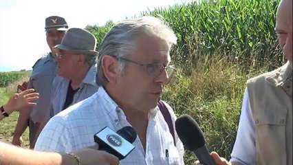 DISTRUTTO IL CAMPO OGM, TENSIONE E POLEMICHE