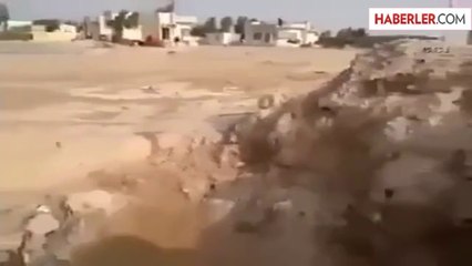 Anne Köpek Ölen Yavrusunu Gömdü