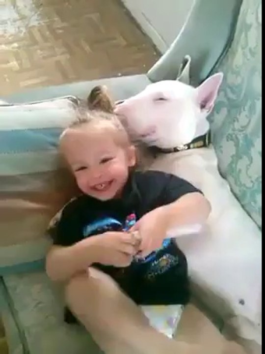 children play teh dog