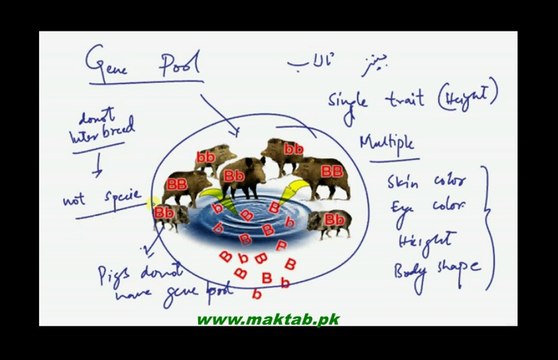 FSc Biology Book2, CH 22, LEC 1: Introduction, Genes, Alleles and Gene Pool