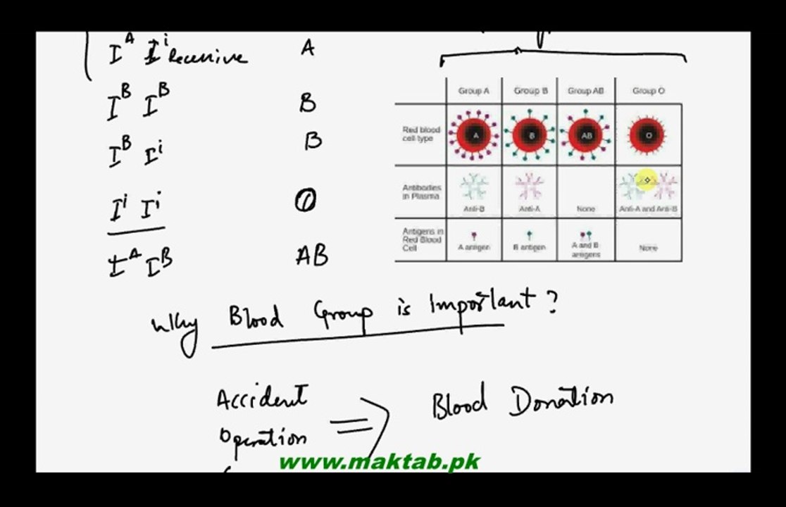 FSc Biology Book2, CH 22, LEC 6: Human Blood Group Genetics