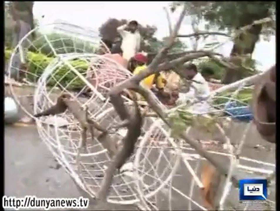 Dunya News-Pat wokers stand guard on Margalla Road : Islamabad
