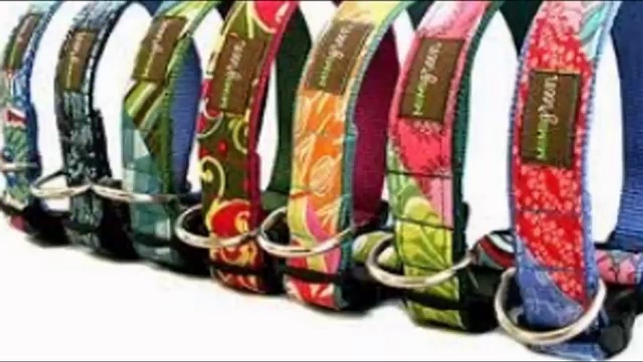 Buy Branded Dog Collars & Leashes Online in India @ moooou.com